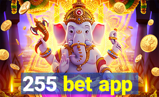 255 bet app