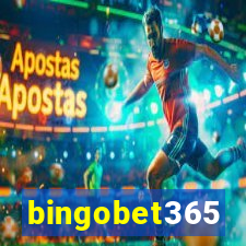 bingobet365