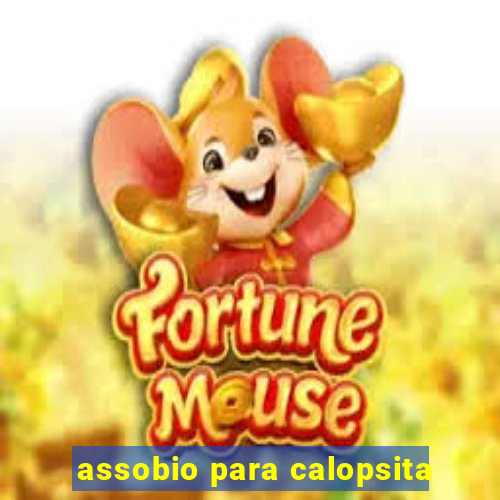 assobio para calopsita