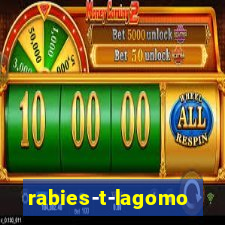 rabies-t-lagomorph