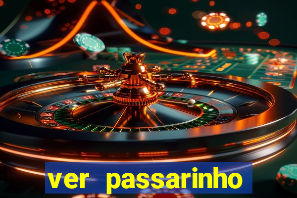 ver passarinho morto significado