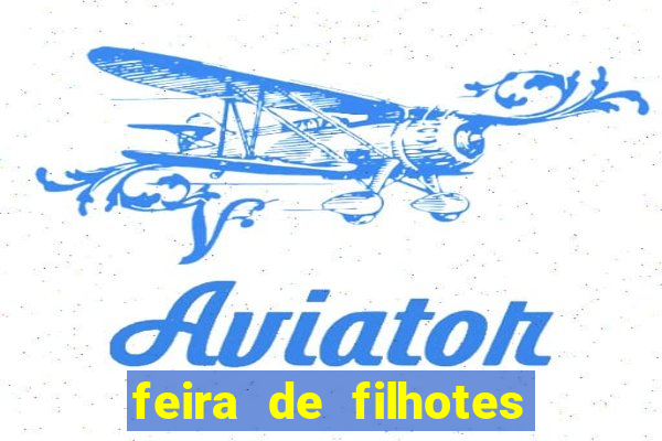 feira de filhotes porto alegre