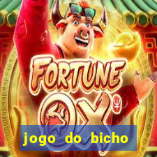 jogo do bicho banca ouro verde