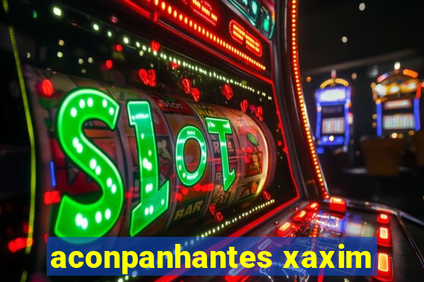 aconpanhantes xaxim