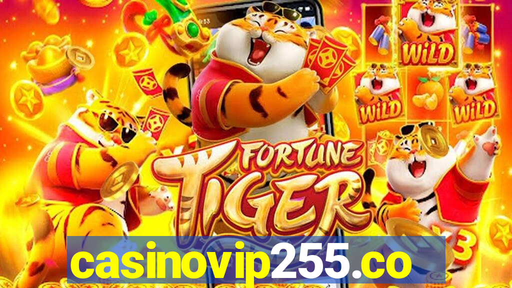 casinovip255.com