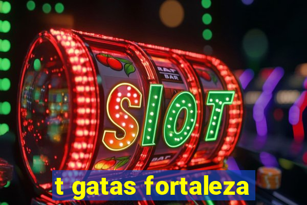 t gatas fortaleza