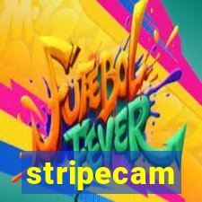 stripecam